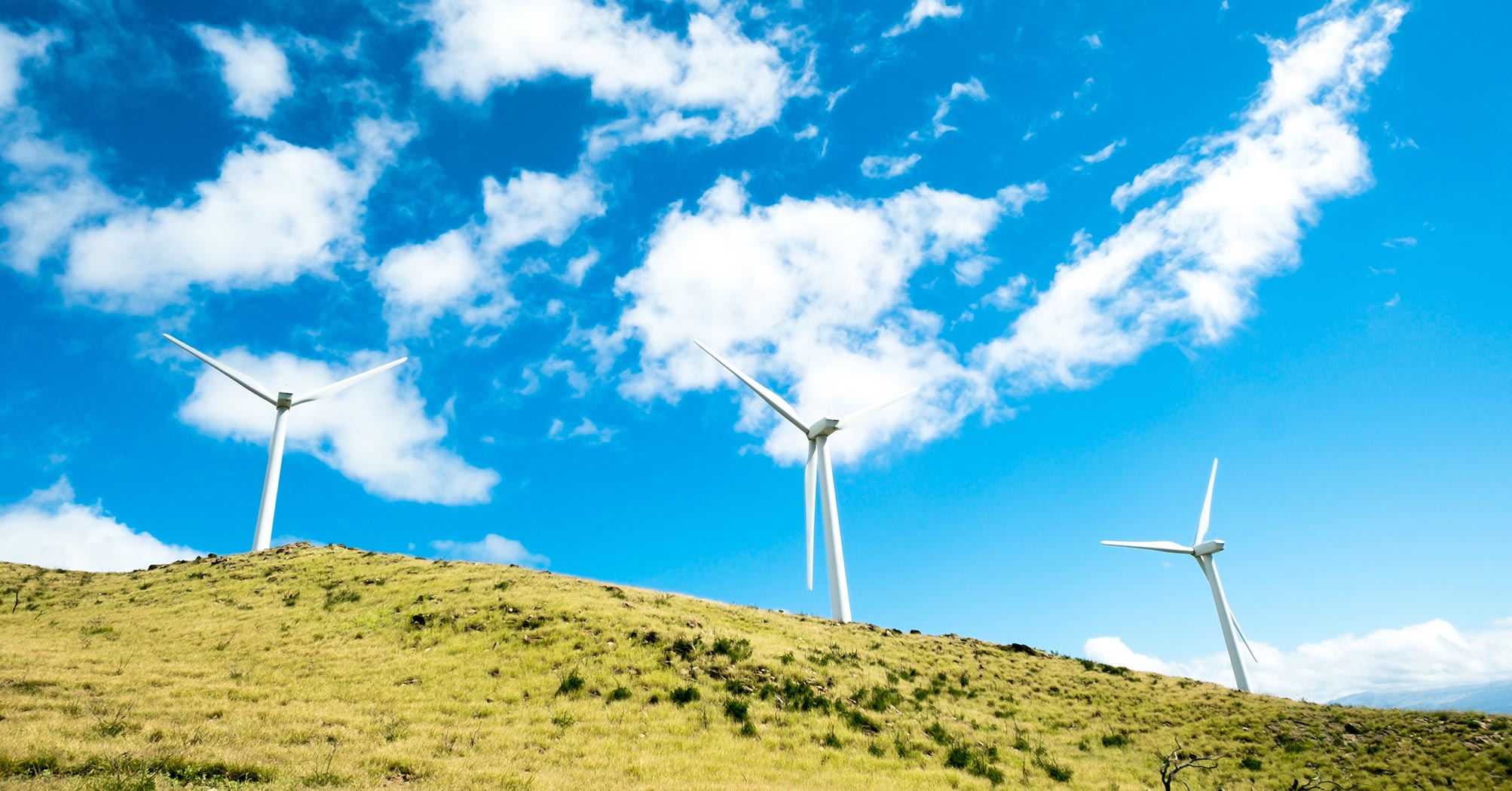 Wind Energy