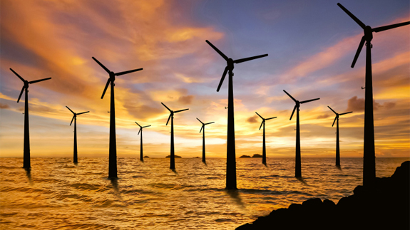 Offshore wind farm